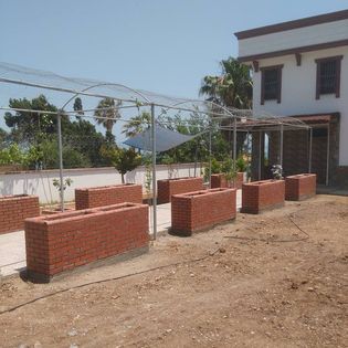 talihinsaat11